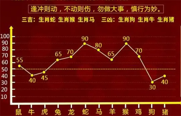 一肖一码一必中一肖，精选解释解析落实的策略与智慧